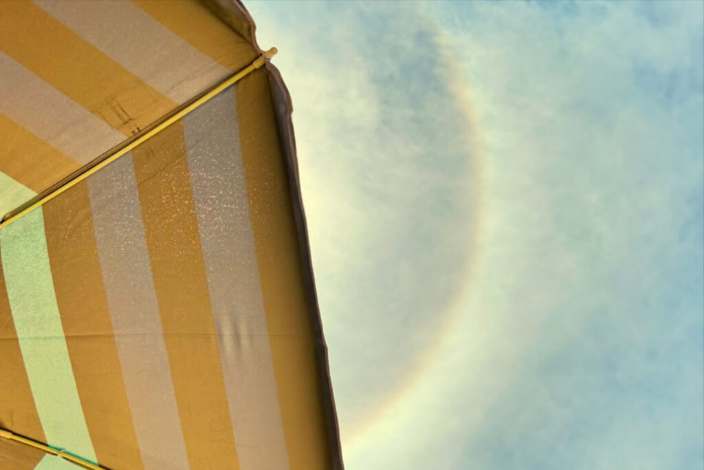 post-imagem-capa-963-vVcfpLEFkj